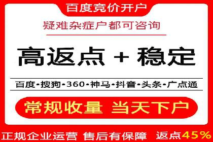 百度竞价广告成功案例：如何实现ROI最大化